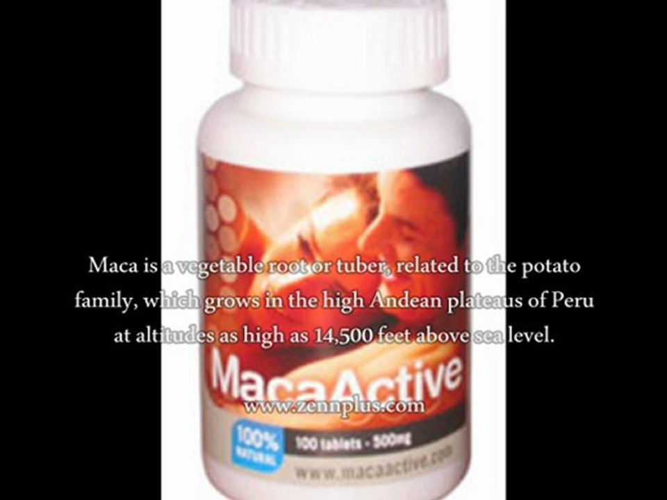 MacaActive - Does MacaActive Work?