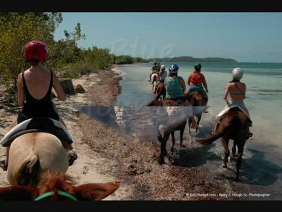 Jamaica Trips