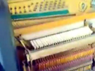 Consertos Internacionais - Conserto de Piano