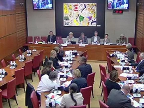 Intervention de Malek Boutih en Commission des affaires culturelles sur les emplois d'avenir