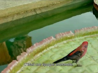 Bande-annonce en VOST pour L'Odyssée de Pi