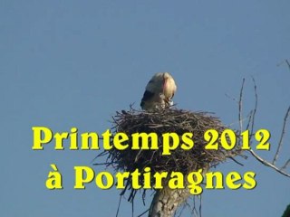 2012 Printemps à Portiragnes