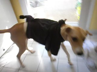 Redden et la petite robe noire n° 2