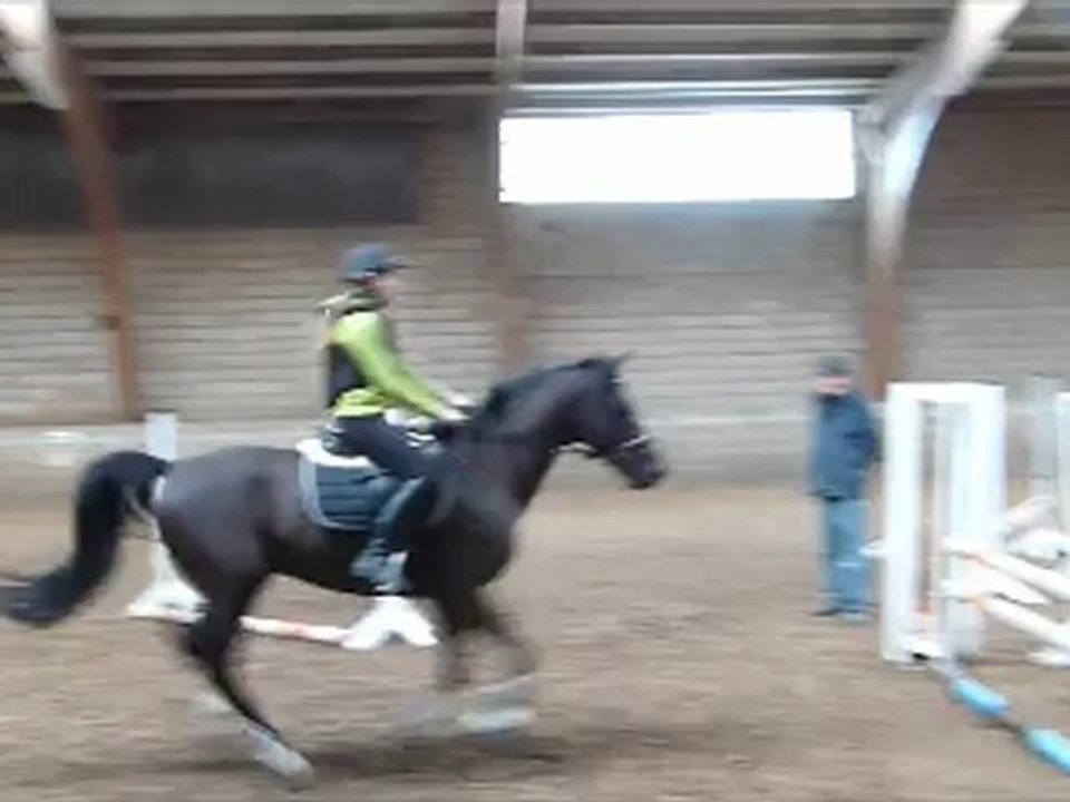 Leçon d'obstacle avec Délius et Mr. Pirick