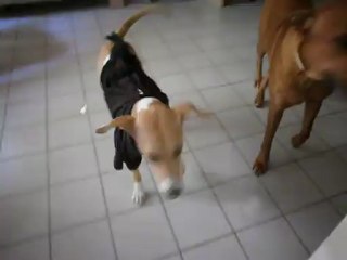 Redden et la petite robe noire n° 4