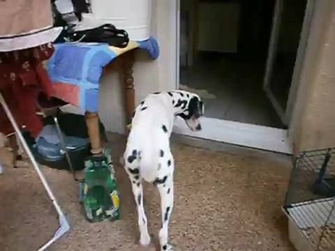 Gandhi, Redden et Eros sur la terrasse 27/09/2012