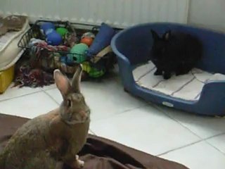 0912_Babou et Cambouis