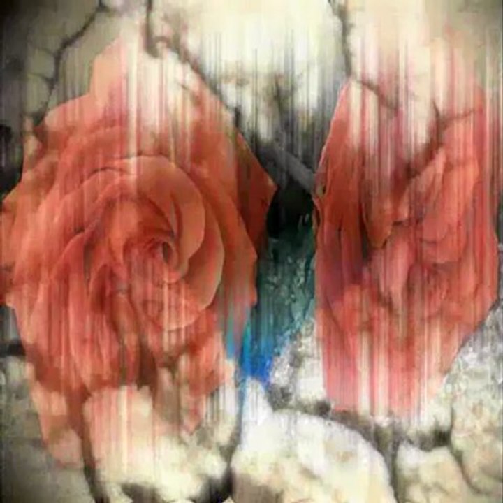 AĞLAMA KARANFİL - EŞREF ZİYA TERZİ