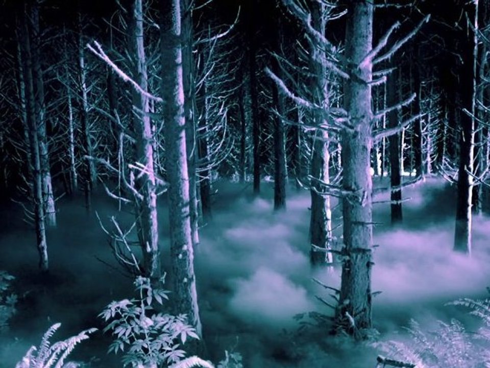 American Horror Story: Asylum - Teaser "The Woods" [HD] [NoPopCorn] VO