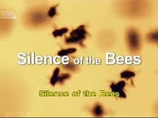 O Silêncio das Abelhas [NatGeo]