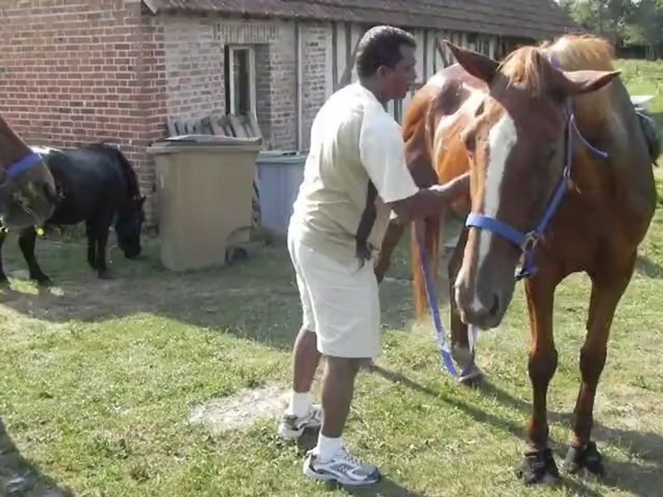 Poney-club de Vinauger (6/12)