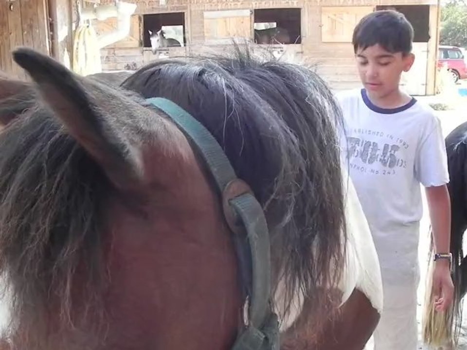 Poney-club de Vinauger (10/12)