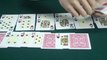 POKER-CARTAS-DE-JOGAR--Casino-chip-1--Poker-Card-Trick