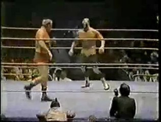 Mil Mascaras vs Bulldog Brower.