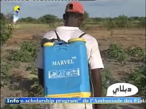 DABALAYE ARABE DU 27 SEPT 2012 SUR TOL