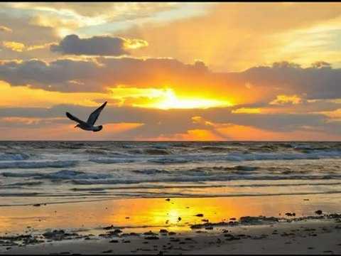 Batsın Bu Dünya Koro 2012 (Orijinal) Orhan Gencebay İle Bir Ömür - [Yüksek Kalite]