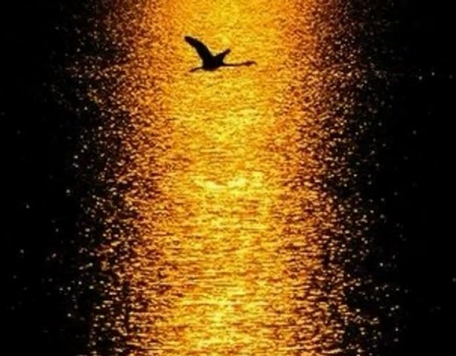 Duman - Gönül [Orhan Gencebay Ile Bir Ömür] 2012 -  [Yüksek Kalite]