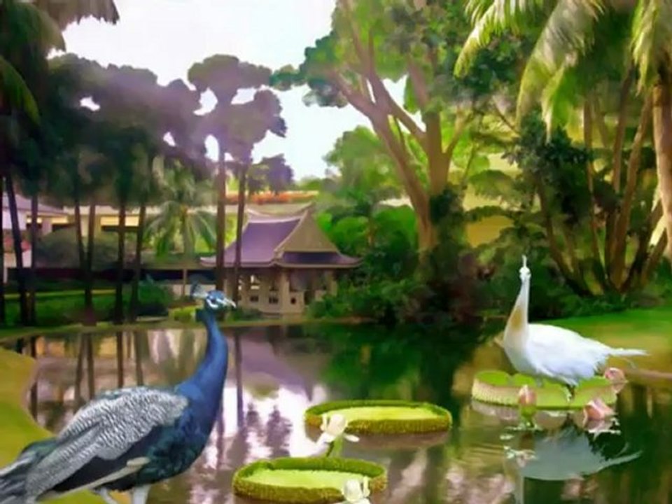 Grup 84 Dokunma Orhan Gencebay ile Bir Ömür 2012 -  [Yüksek Kalite]