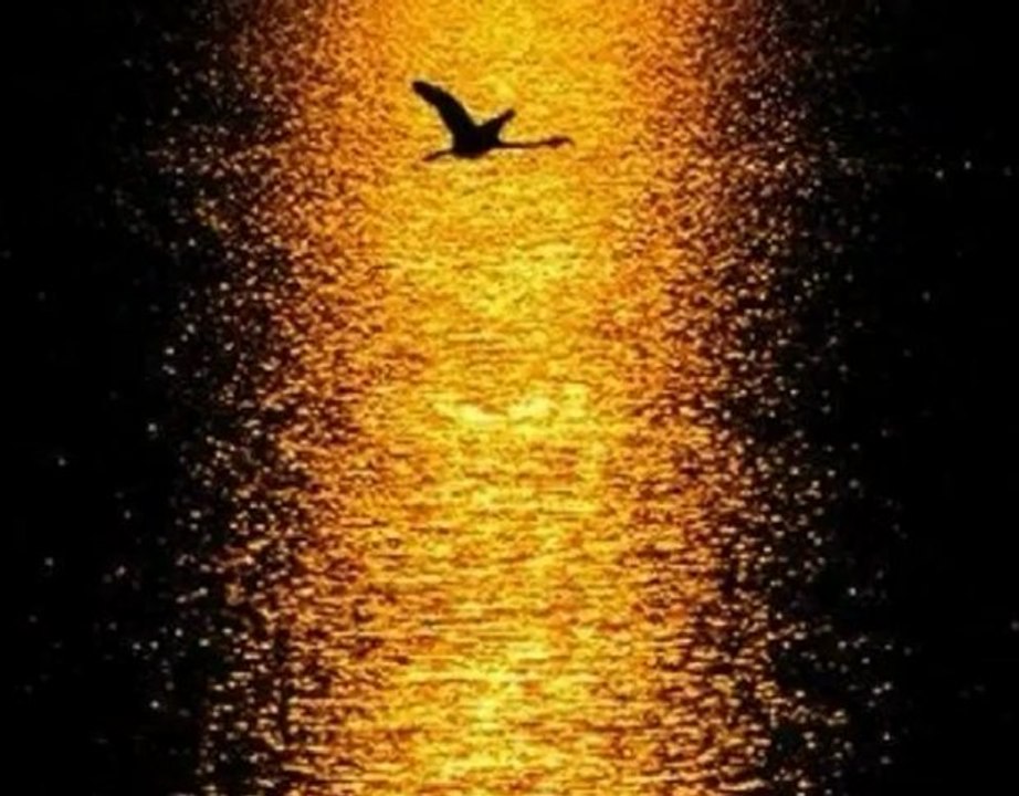 Nilüfer - Dertler Benim Olsun   2012 Orijinal Şarkı   Orhan Gencebay İle Bir Ömür -  [Yüksek Kalite]