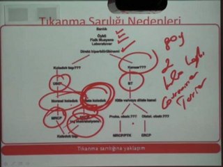 Prof. Dr. Anıl Çubukcu