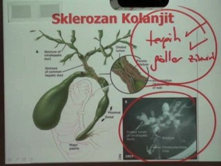 Prof. Dr. Anıl Çubukcu