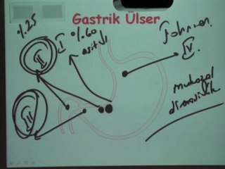 Prof. Dr. Anıl Çubukcu