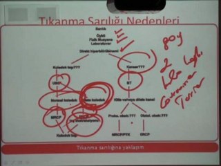 Prof. Dr. Anıl Çubukcu