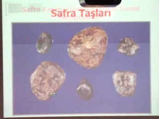 Prof. Dr. Anıl Çubukcu