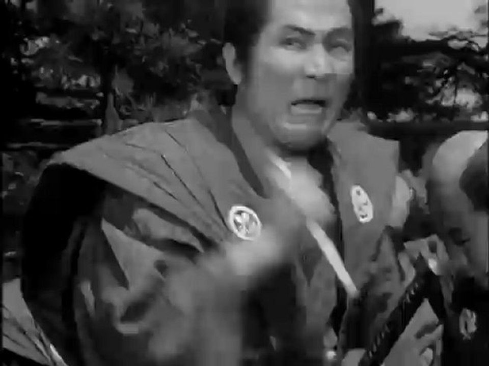 Ninjutsu - togakure ryu