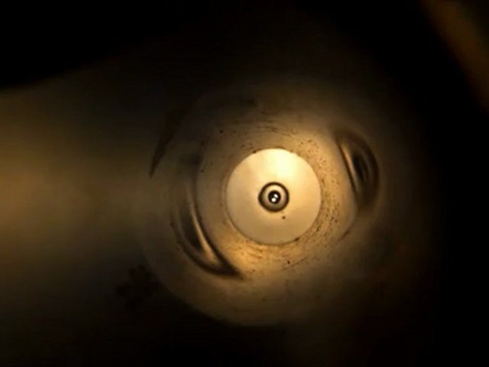 l'oeil