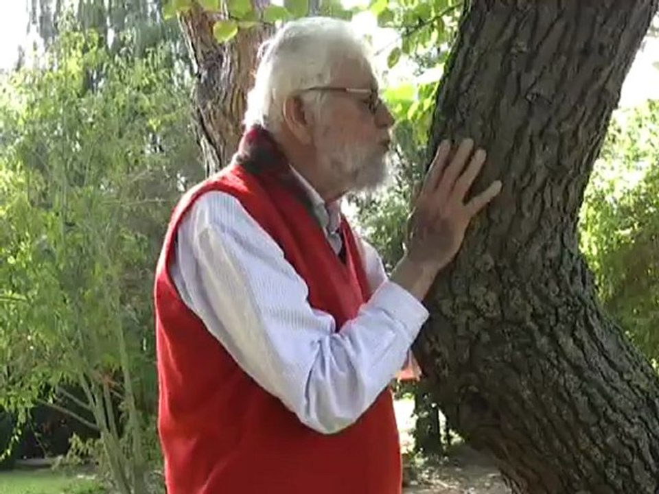 27.09.2012YLVHAYRETTINKARACA