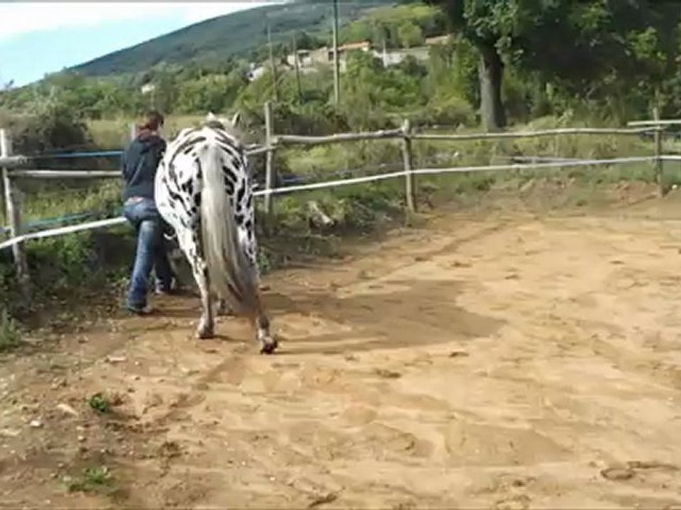 kency pignon