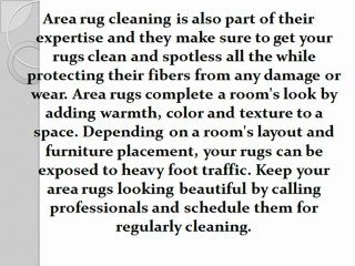 Protecting and cleaning your carpets and area rugs