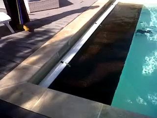 Volet avec caillebotis immergés - Euro Piscine Services