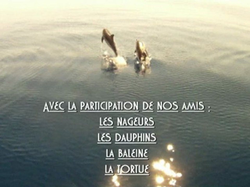 Nage avec les Dauphins 2012 - Bateau Annett à Cannes – Mandelieu en France