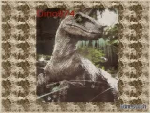 B.O City Styles - Tout a fé Normal (VS Sean Paul)