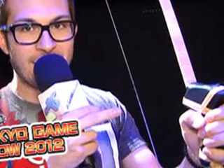 Скачать видео: TGS 2012 - Jeu d'Arc, nos impressions vidéo