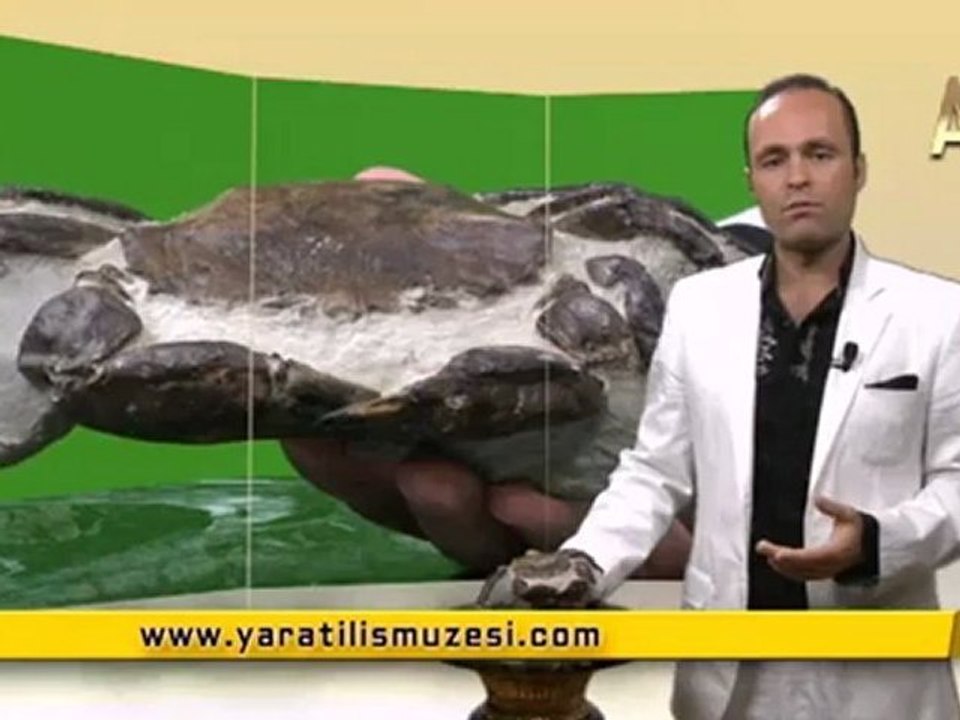 MİLYONLARCA YILDIR DEĞİŞMEYEN YENGEÇLER