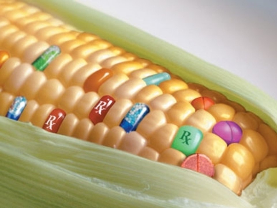 "Si on me prouve que les OGM sont dangereux, je l'écrirai"