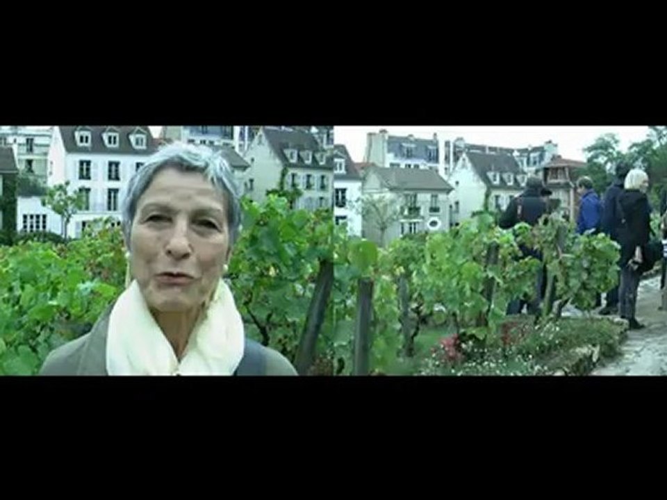 teaser vendanges 2012 mairie 18
