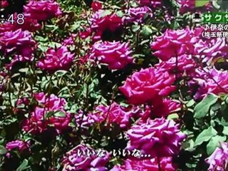 saku saku (20120928-0730 ｔｖｋ)-03