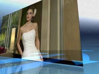 Discount Wedding and Bridesmaids Dresses at Aimell