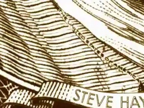 Hand Out 500 by Steve Haynes presented by Paul Harris (DVD) - Magic Trick