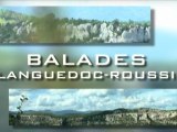 Balades en Languedoc Roussillon : la fleur de sel
