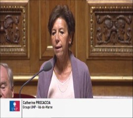 Catherine Procaccia, Sénateur du Val-de-Marne, réouverture de la bande d'arrêt d'urgence de l'a4-a86 pour les secours