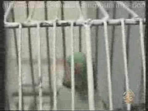 perroquet qui lit du coran