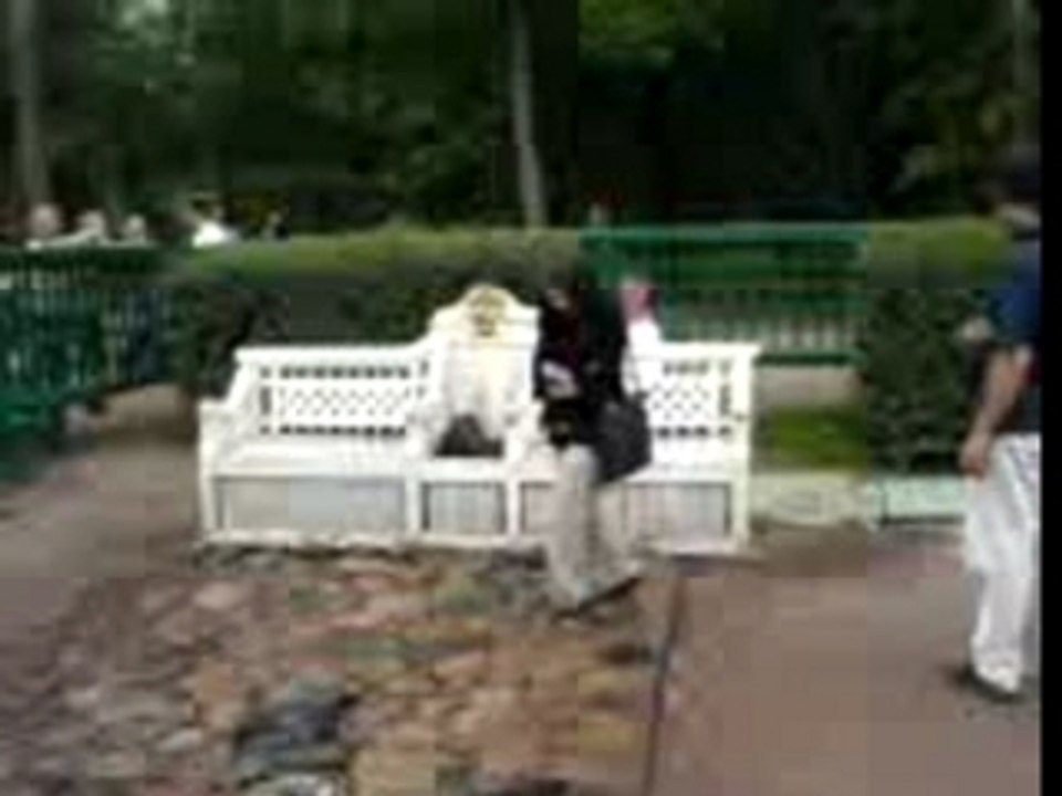 Peterghoff  - SPB - fontains