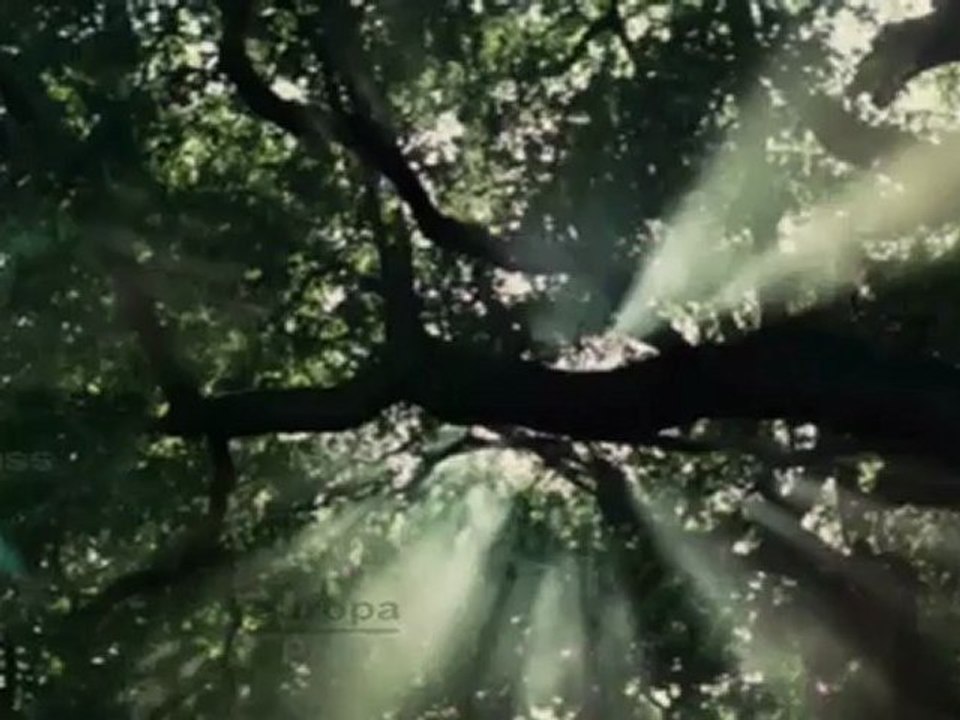 'Blancanieves' recoge el testigo de "The Artist"