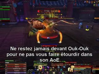 Ouk Ouk, Brasserie Brune d'orage - Mists of pandaria