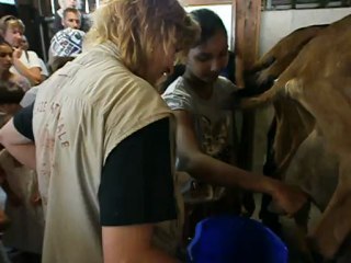 Ferme de Rambouillet (3/4)